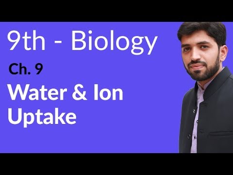 9th Class Biology Chapter 9 Transport
