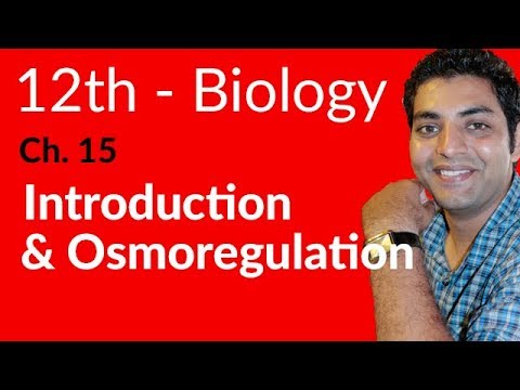 12th Class Biology Chapter 15 Homeostasis