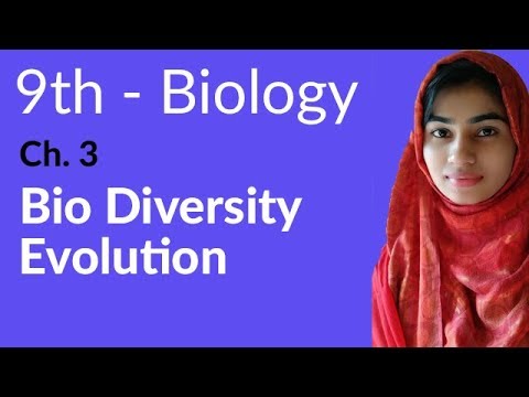 Biology Class 9 Chapter 3 Biodiversity | 9th Class Biology Chapter 3