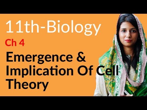 Inter Part 1 Biology book 1 Chapter 4 The Cell