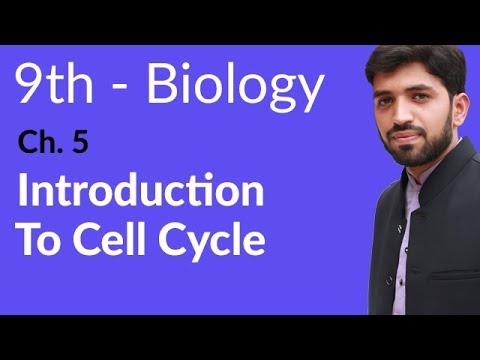 9th Class Biology Chapter 5 Cell Cycle