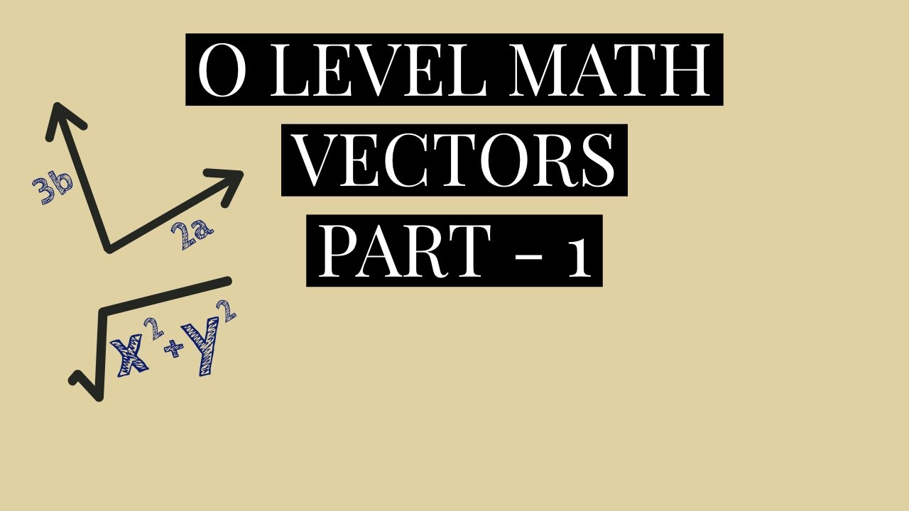 Vectors