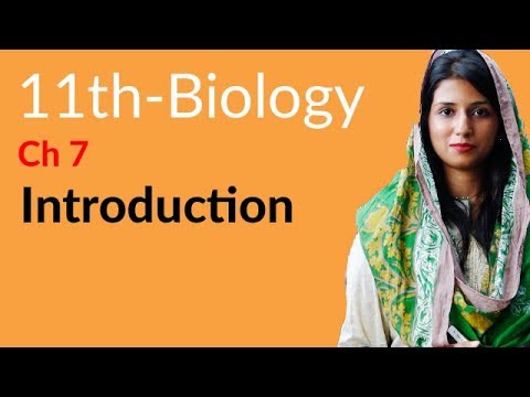 FSc Part 1 Biology Chapter 7 The Kingdom Protista (or Protoctista)