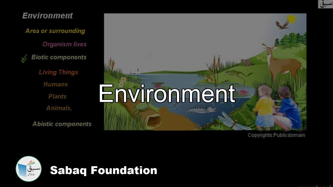 Class 6 Chapter: Environment