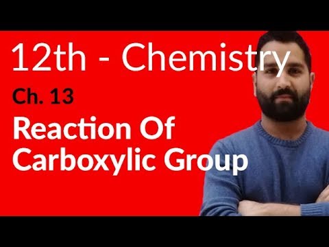 12th Class Chemistry Chapter 13