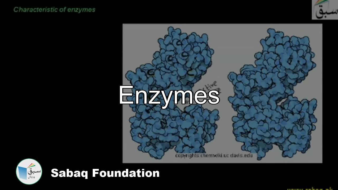 Class 11 Chapter: Enzymes