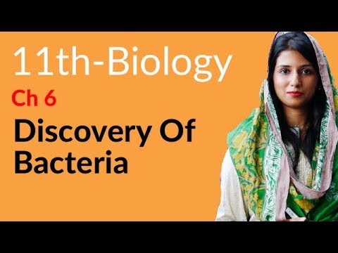 11th Class Biology Chapter 6 - 1st Year Biology Chapter 6 Kingdom Prokaryotae (Monera) - FSc Part 1 Biology Chapter 6