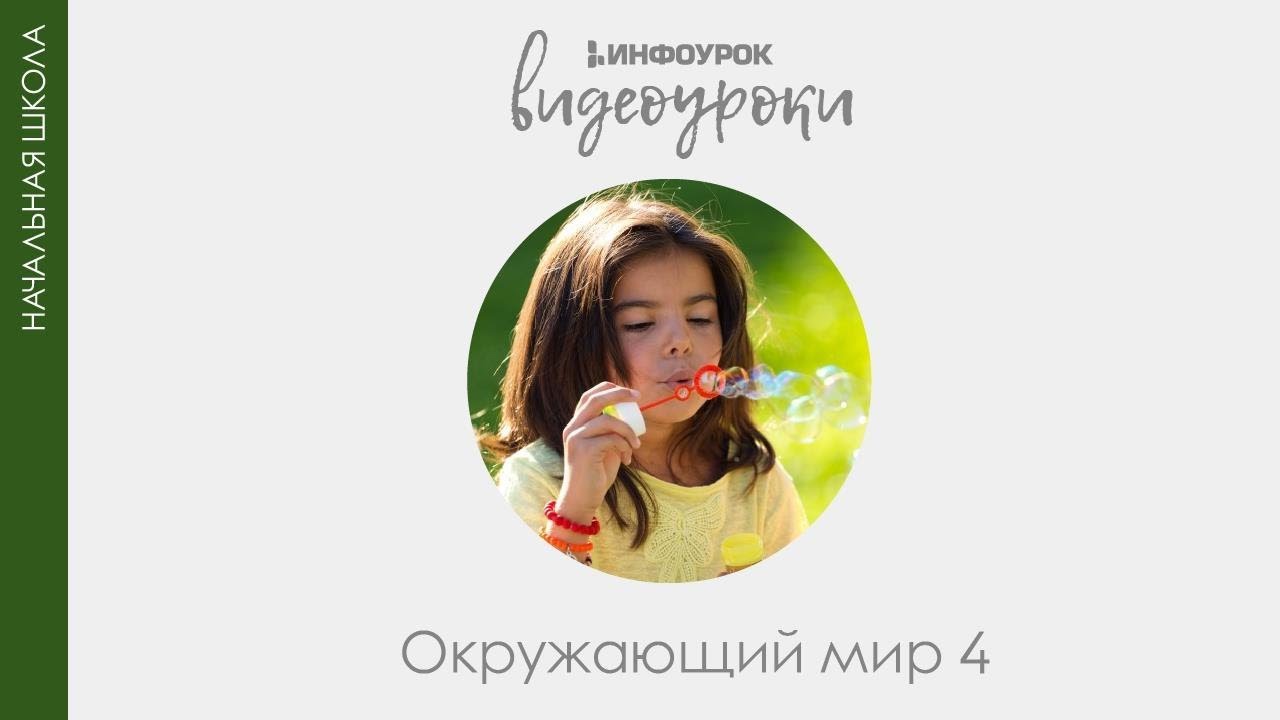 ВИДЕОУРОКИ: Окружающий мир 4 класс