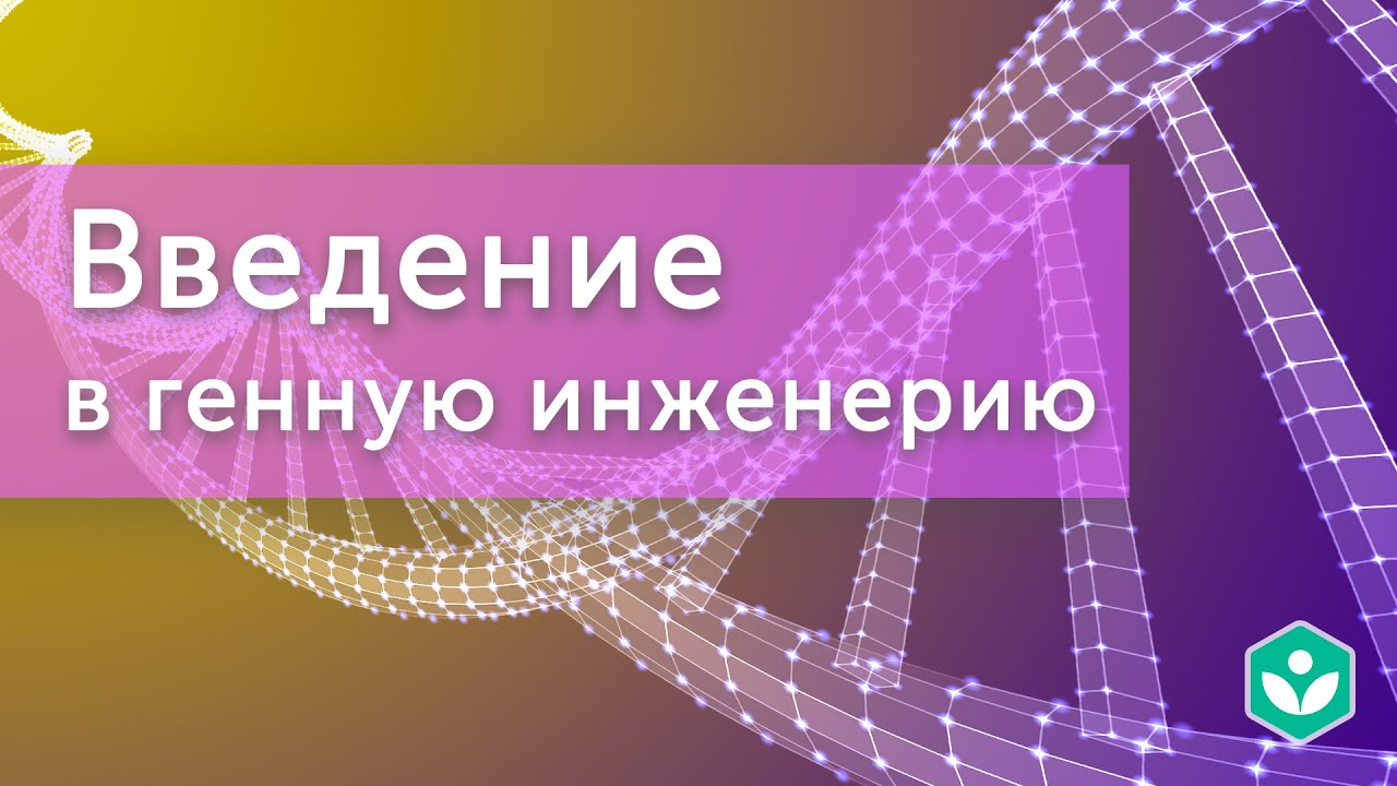 Генная инженерия | Молекулярная генетика