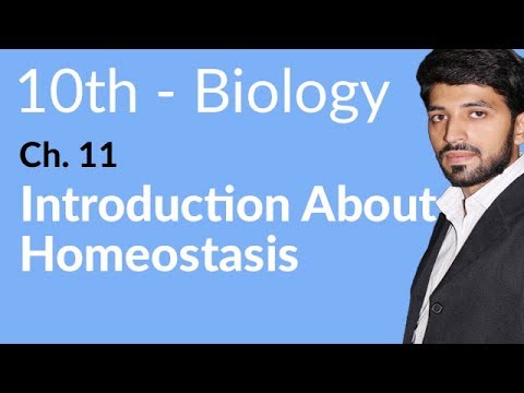 10th Class biology Chapter 2 - Homeostasis - Class 10th biology Chapter 11 - Class 10 Biology Chapter 2