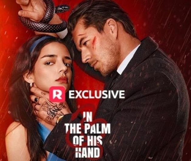 In the palm of his hand poster