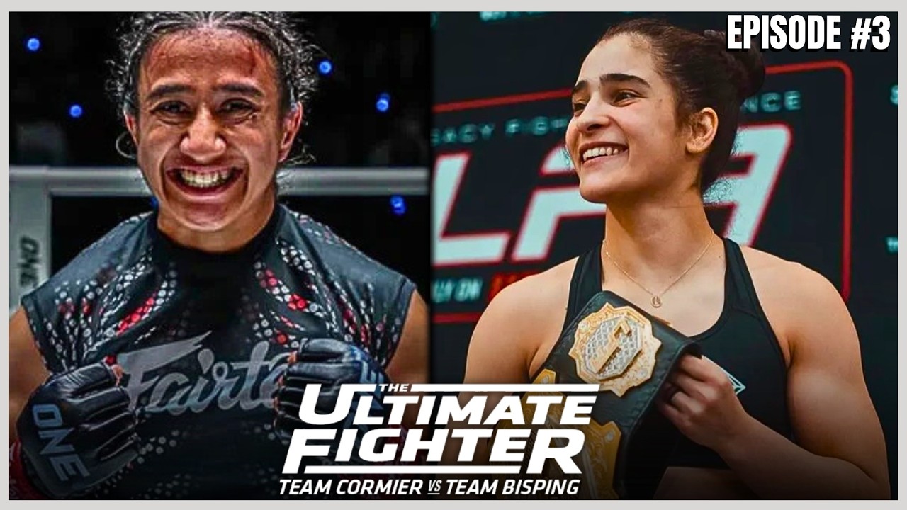 MMA Fighter Highlights | TUF 34 Episode 3 | Ultimate Fighter 34: Cormier vs. Bisping | UFC Prospects