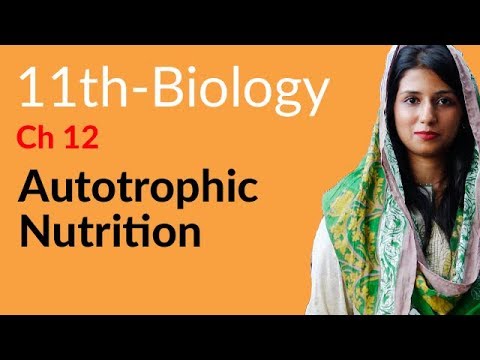 First Year Biology Book 1 chapter 12 Nutrition
