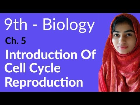 9th Class Biology Chapter 5 Cell Cycle