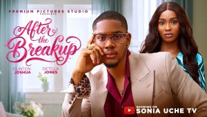 AFTER THE BREAKUP - 123Movies
