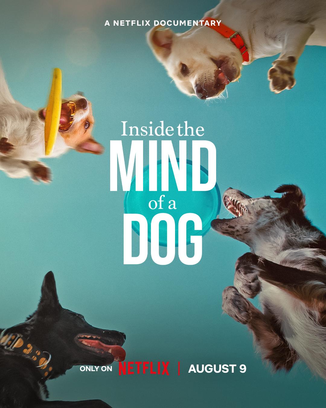 Inside the Mind of a Dog poster - similar to Kufi Krew: An American Story
