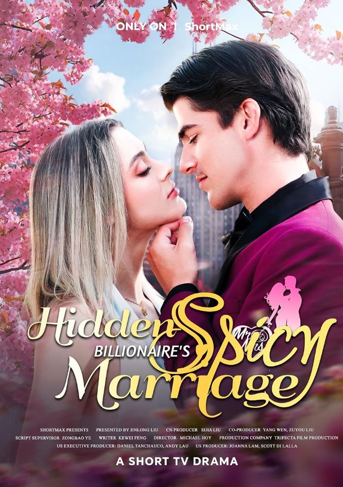 Hidden Marriage poster