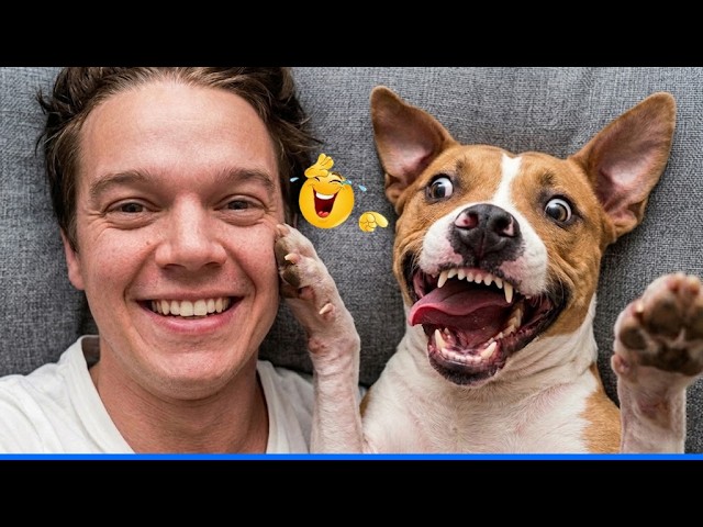 New Funny Animals Video 2026 đ Funny Dogs and Cats Make You Unable To Stop Laughingđ»đ¶ Cute Dogs Cats background