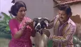 Sripriya