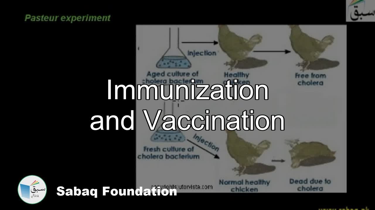 Class 12 Chapter: Biology and Human Welfare background