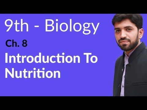 9th Class Biology Chapter 8 Nutrition background