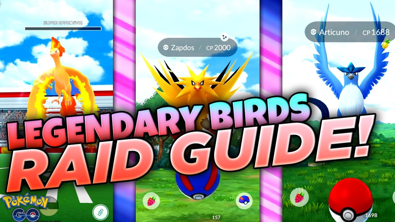 WHY YOU STILL NEED TO RAID *THIS* LEGENDARY BIRD!! Pokémon GO Articuno, Zapdos, and Moltres Guide! background