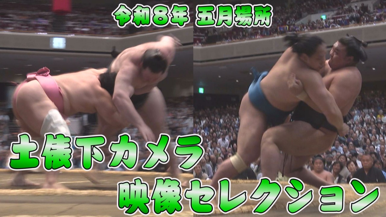令和8年五月場所 土俵下カメラ映像セレクション background