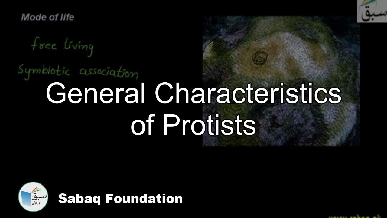 Class 11 Chapter: Kingdom Protista background