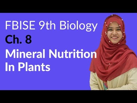 Federal Board 9th Biology Ch. 8 Nutrition background