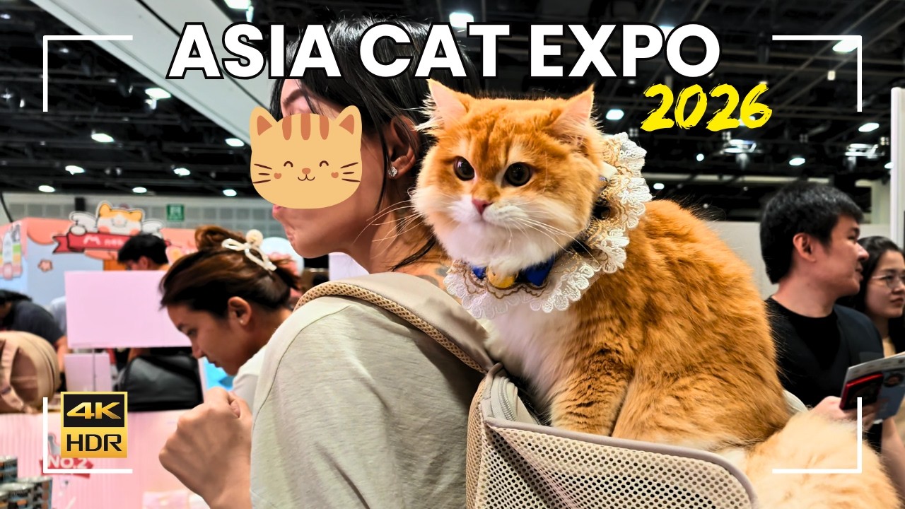 Asia Cat Expo 2026 | Singapore’s Largest Cats Event & Competition! background