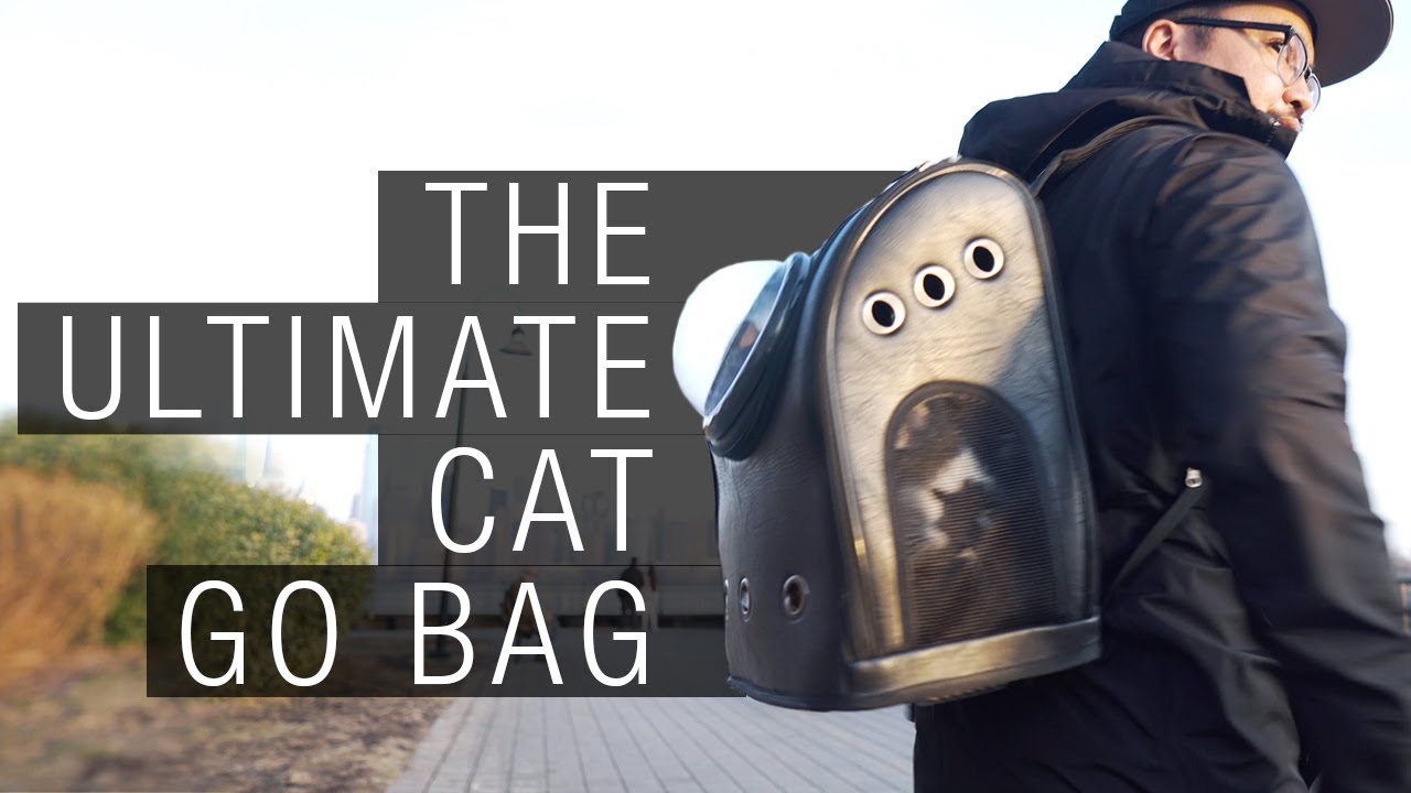 The Ultimate Cat Go Bag background