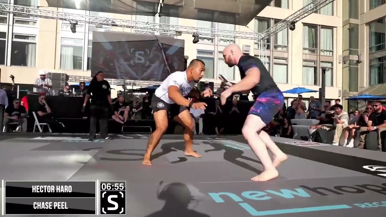 Hector Hard vs Chase Peel - Subversiv XII background