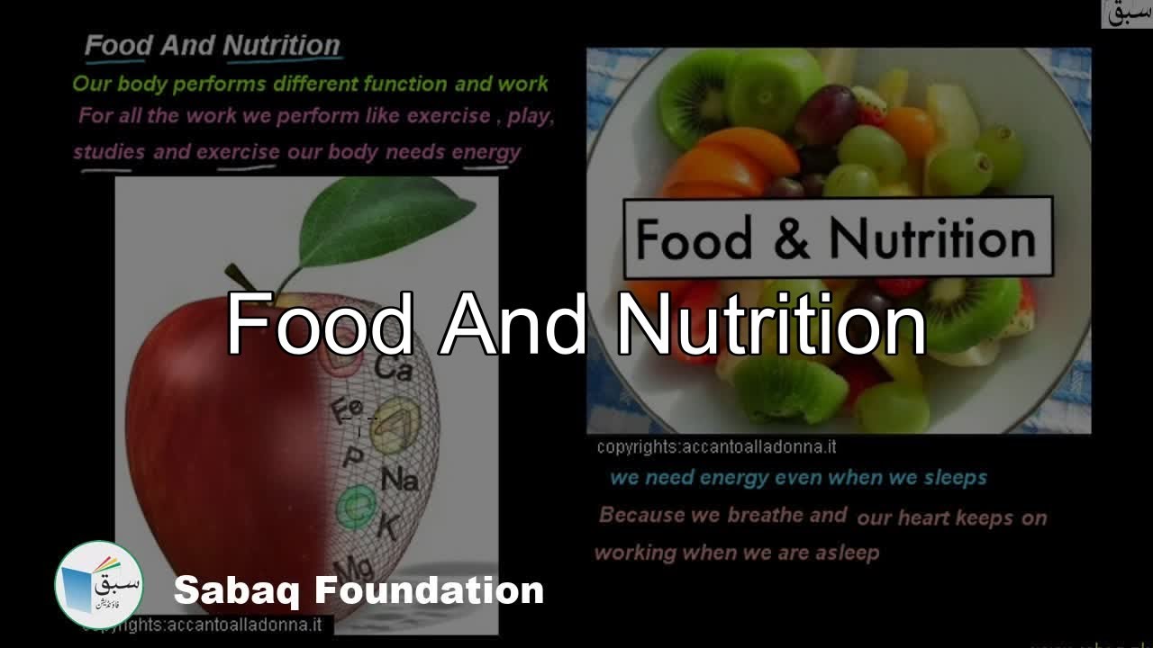 Class 7 Chapter: Human Organ Systems background