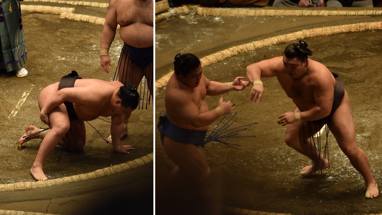 Hoshoryu fitness doubts as Kirishima "gives off Yokozuna aura" (Sumo News, Jul 3rd) background