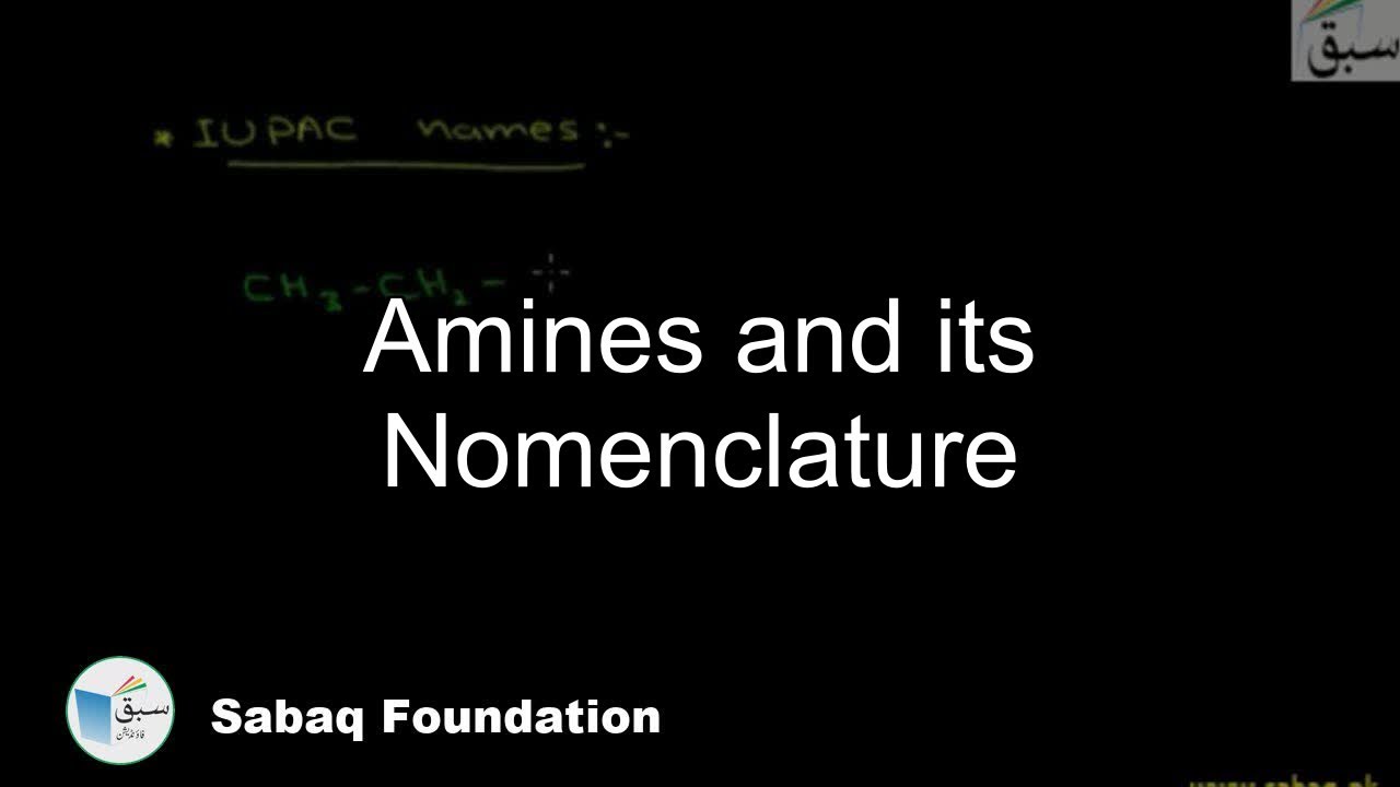 Class 12 Chapter: Amines and Amino Acids background
