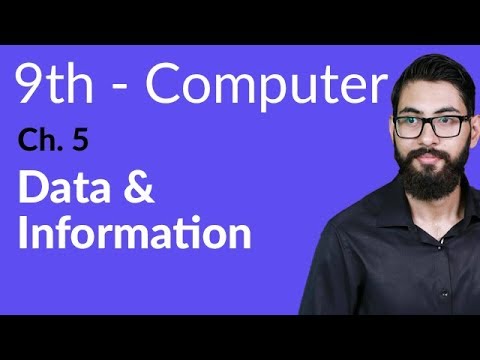 9th Class Computer Science Chapter 5 Number Systems background