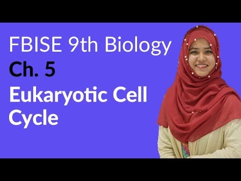 Federal Board 9th Biology Ch. 5 Cell Cycle background