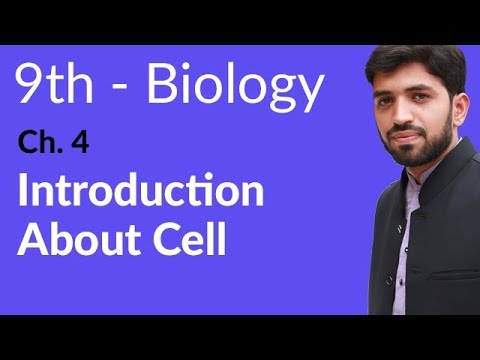 9th Class Biology Chapter 4 Cell and Tissues - Biology Class 9 Chapter 4 background