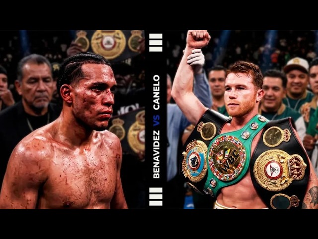 David Benavidez Vs Canelo Alvarez | Best KOs background