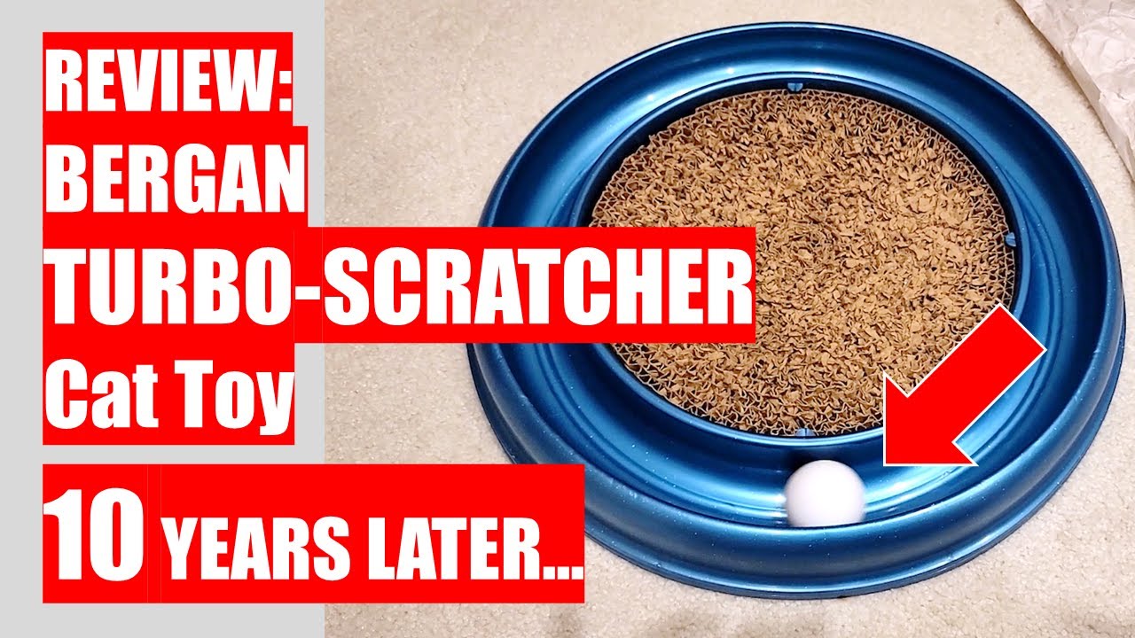 REVIEW: Bergan TURBO-SCRATCHER Cat Toy - 10 YEARS LATER... background