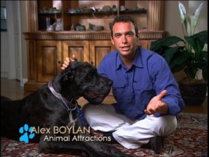 Alex Boylan