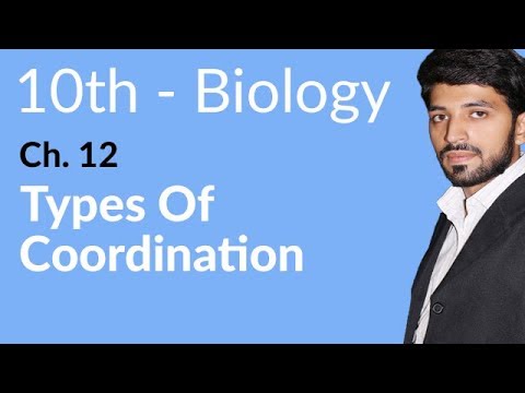 10th Class Biology Chapter 12 - Class 10 Biology Chapter 3 Coordination and Control - Biology Class 10 Chapter 12 background