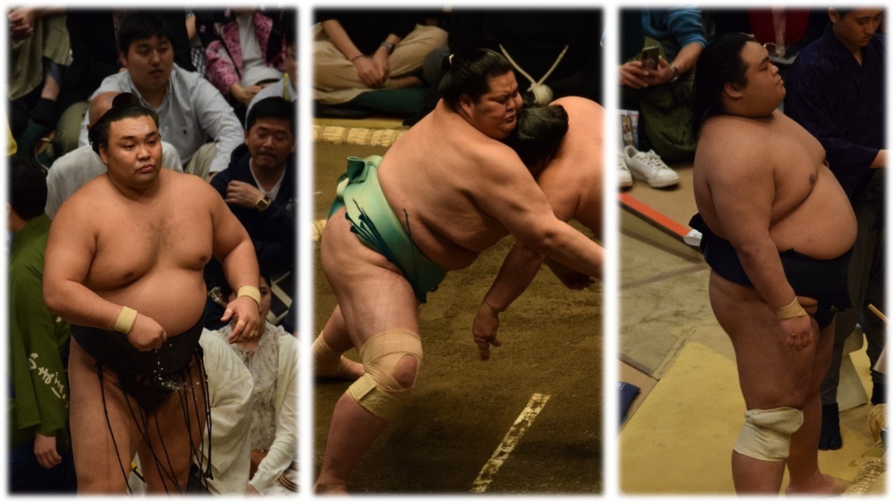 Kirishima and Kotozakura win big; Oho tipped for Nagoya cup! (Sumo News, Jul 4th) background
