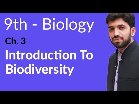 9th Class Biology Chapter 3 Biodiversity - Class 9 Biology Chapter 3 background