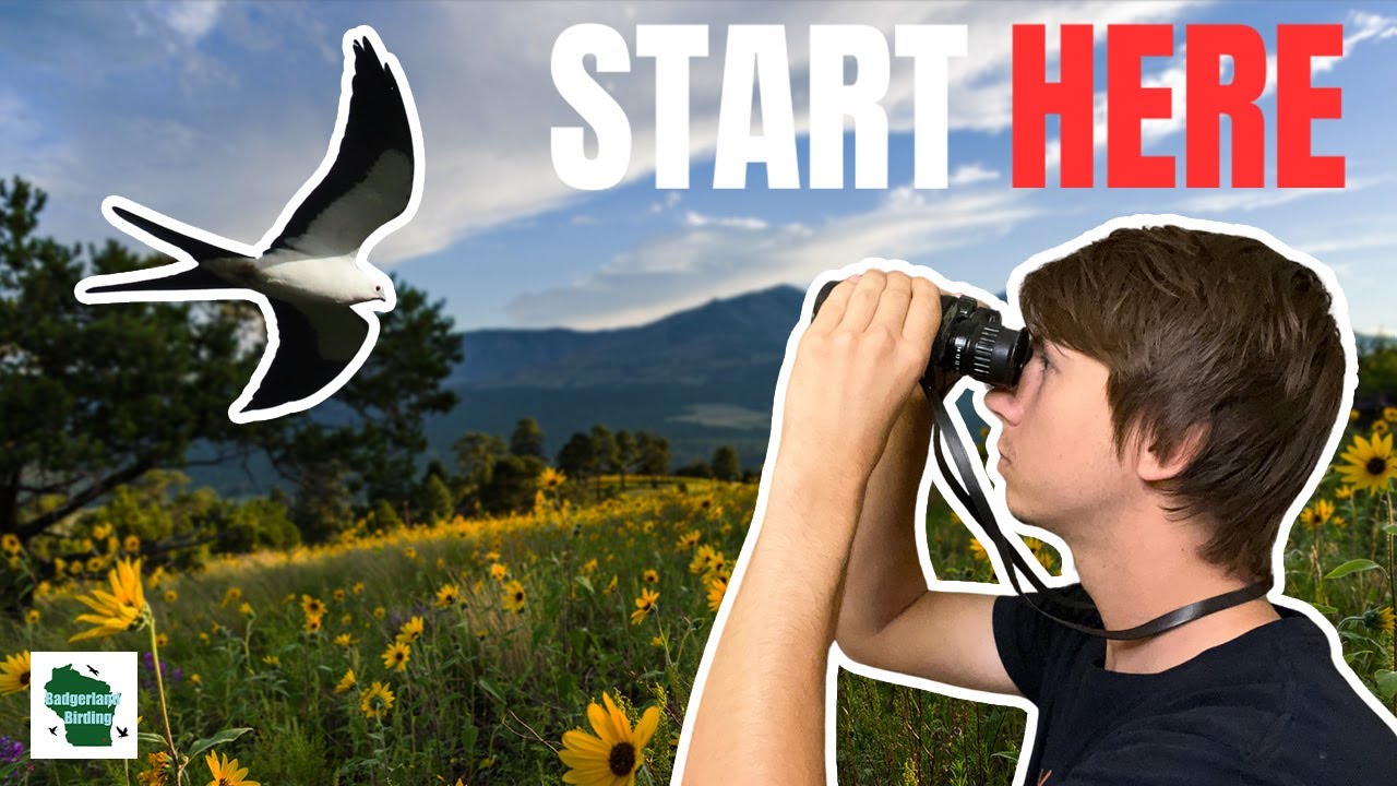 Birding 101: The Ultimate Beginner's Guide to Birding background