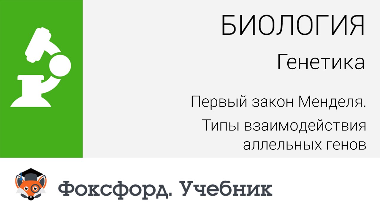 Интерактивный учебник по биологии background