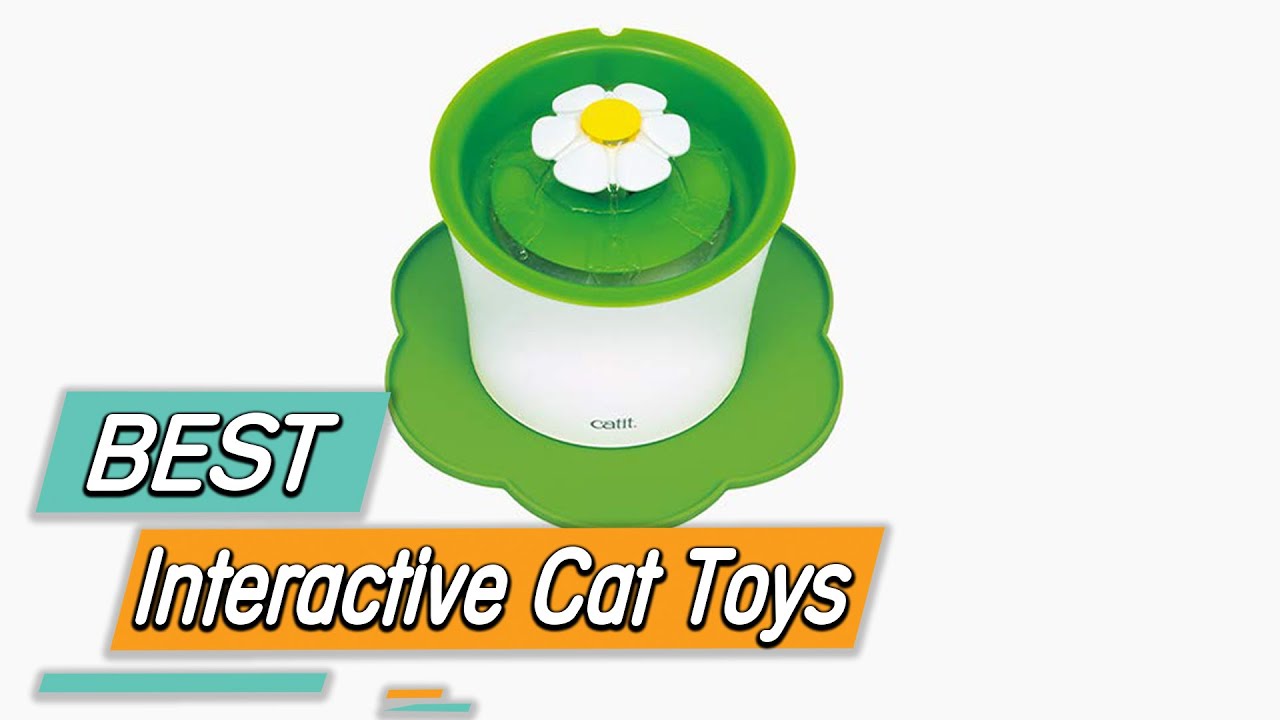 Top 5 Best Interactive Cat Toys Review in 2023 background