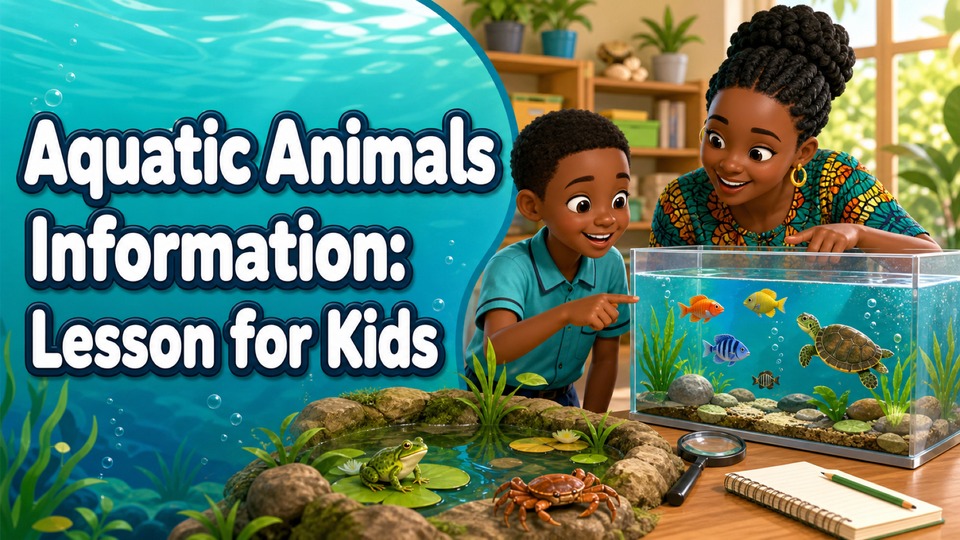 Aquatic Animals Information: Lesson for Kids