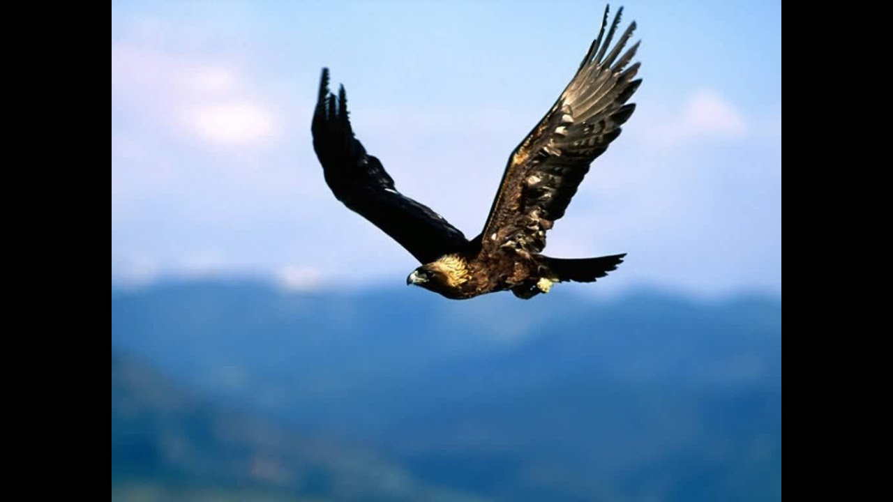 My Time Will Come In Super Eagles backdrop
