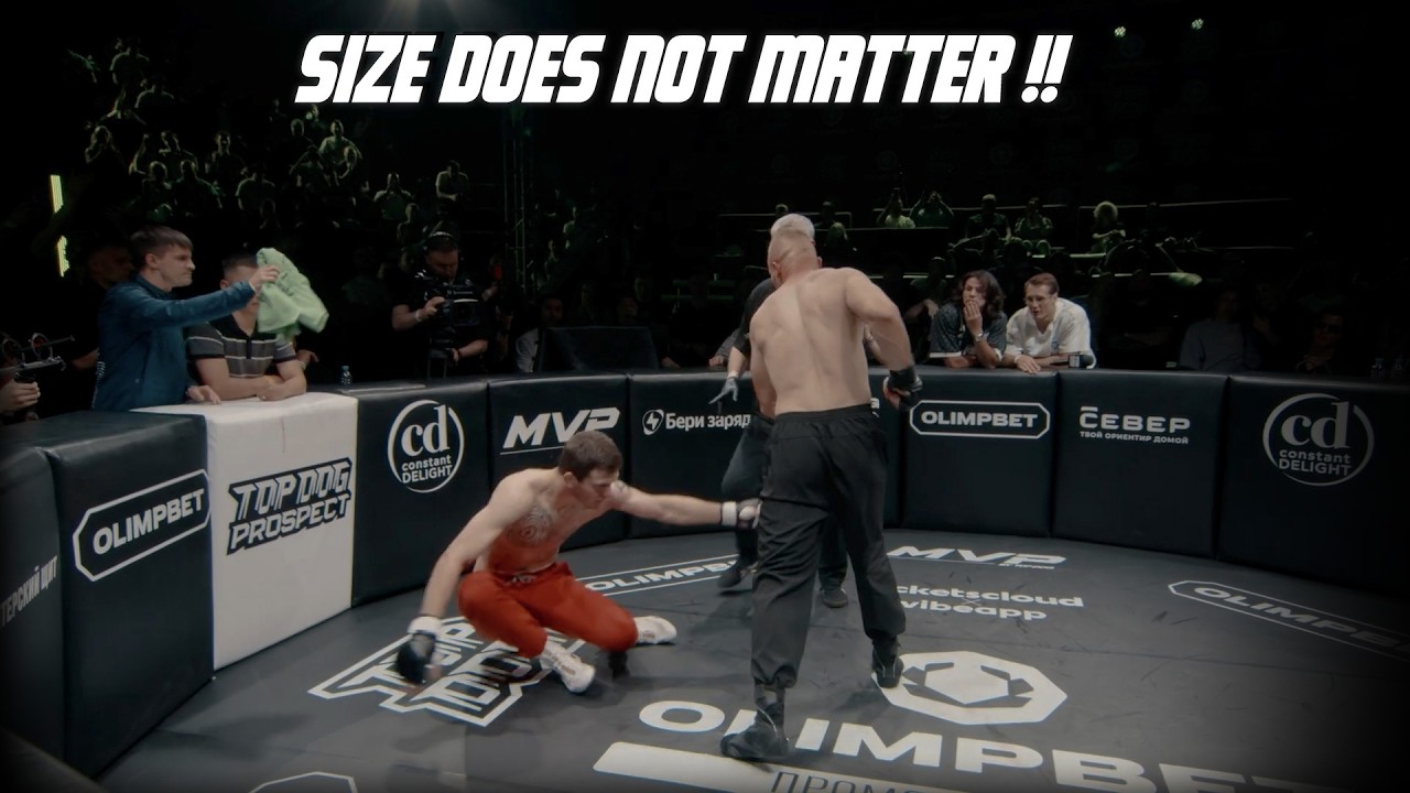 The MOST BRUTAL KO's and Fights TOP DOG Prospect 31 !! (HIGHLIGHTS) background